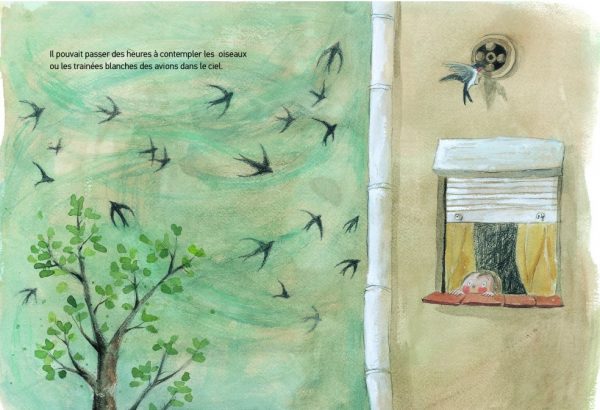 La montagne de livres : Lucas regarde les oiseaux dans le ciel